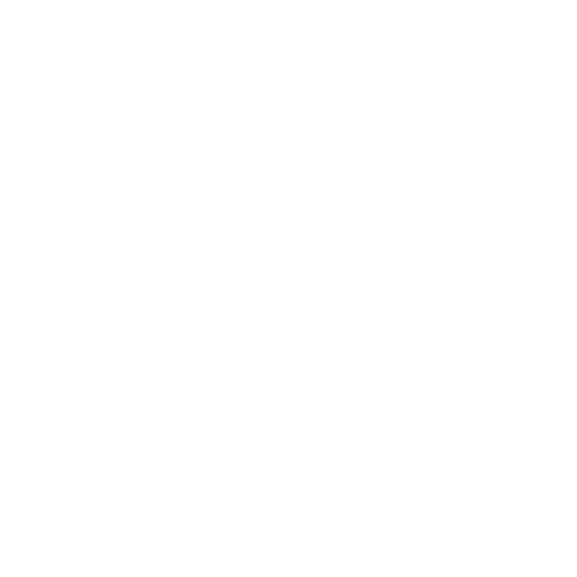 Xing Logo