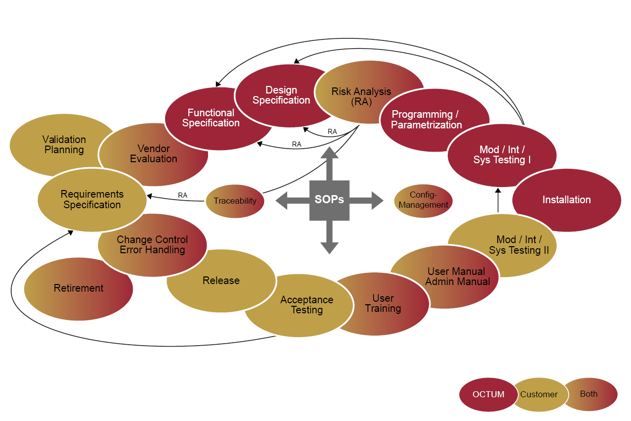 Detailed presentation of the software life cycle including all important process steps