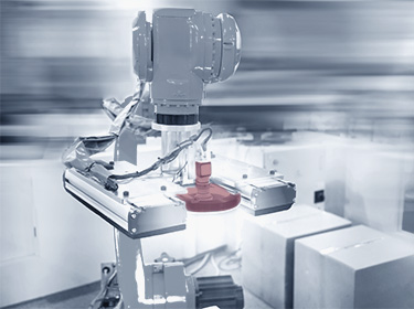 an industrial image processing system is mounted on a robot arm and visually inspects cartons and packaging